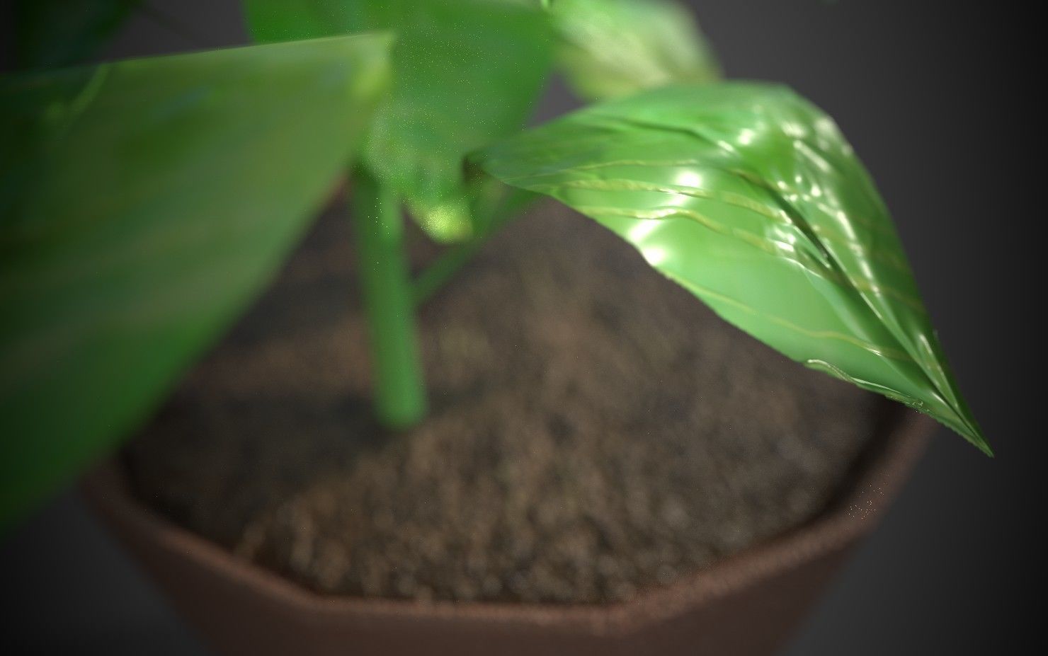 Artificial indoor plant Low-poly 3D model_13