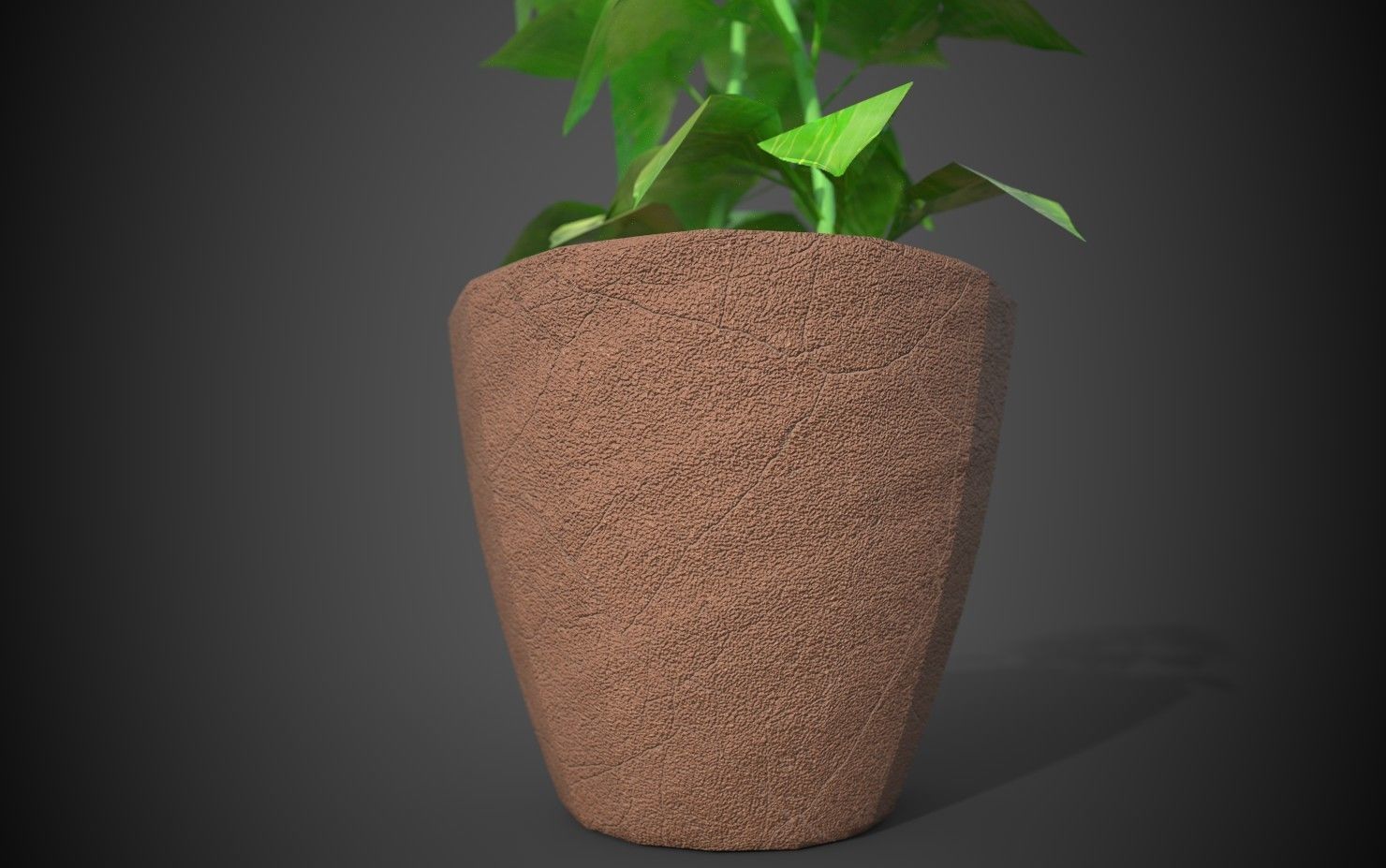Artificial indoor plant Low-poly 3D model_11