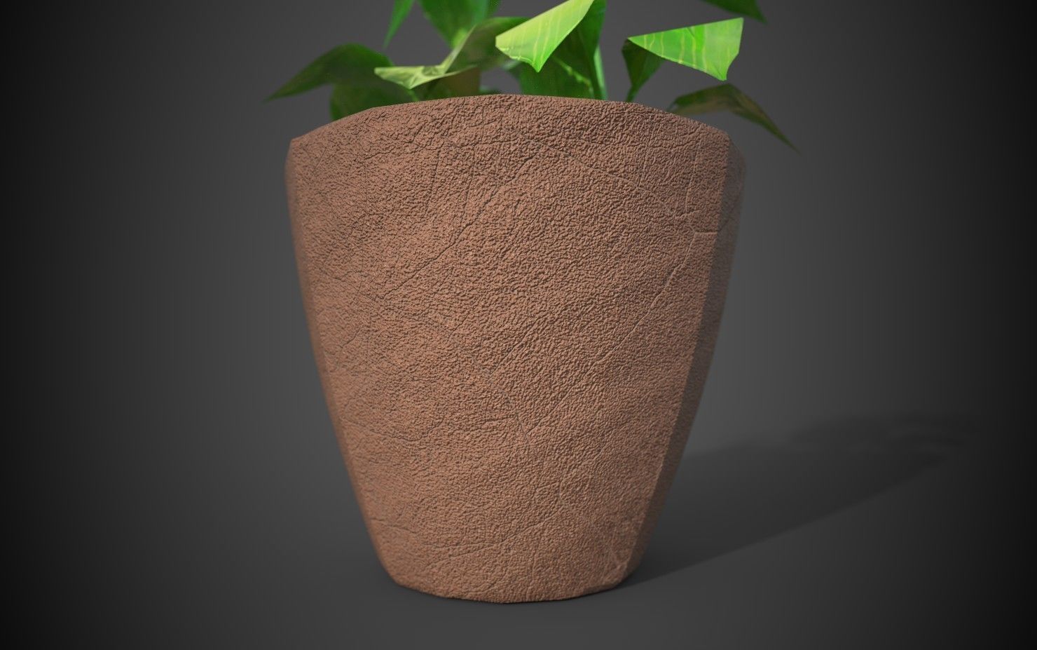 Artificial indoor plant Low-poly 3D model_17