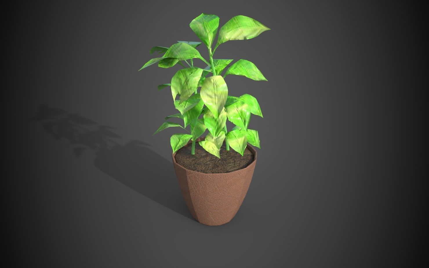 Artificial indoor plant Low-poly 3D model_18