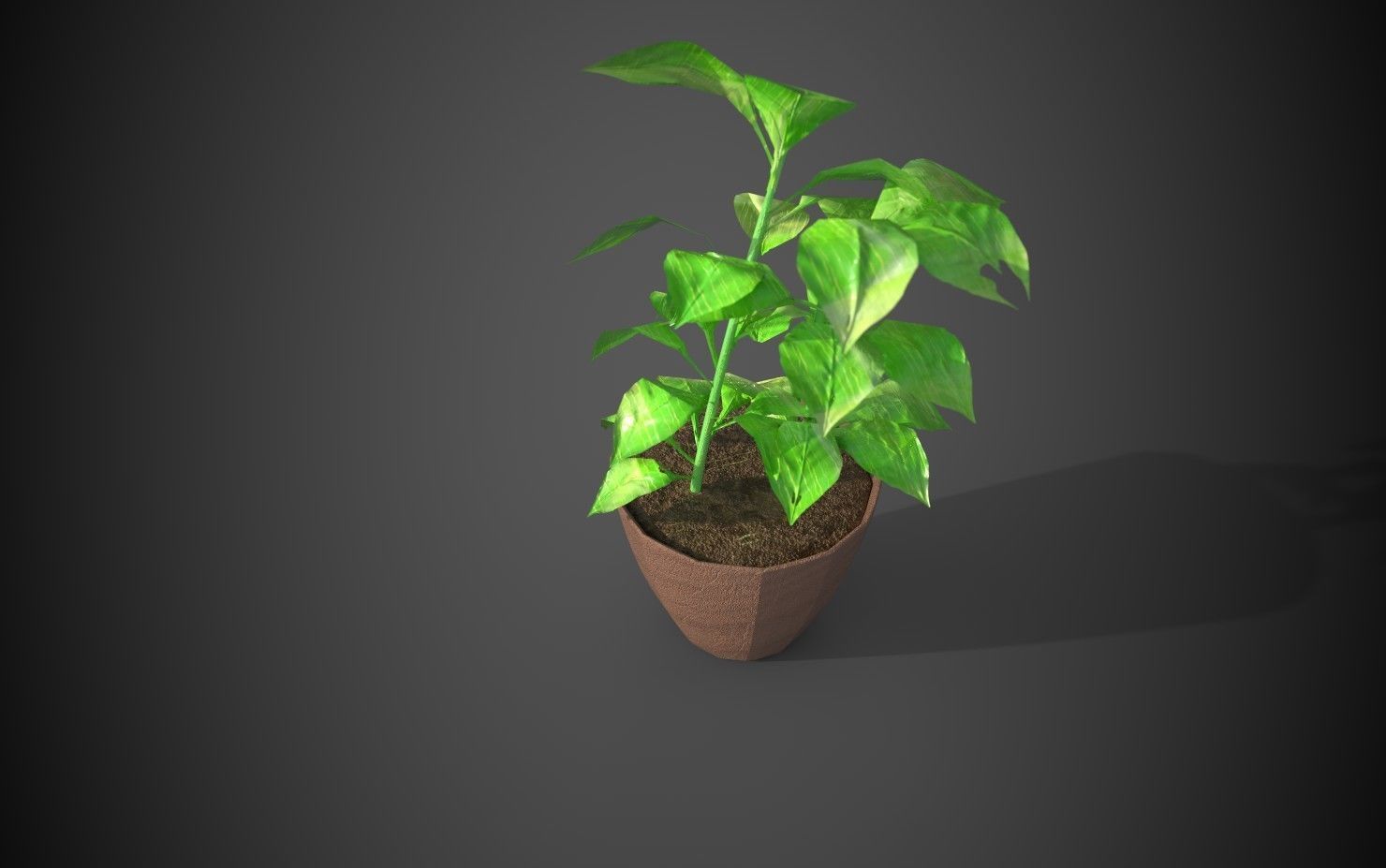 Artificial indoor plant Low-poly 3D model_9