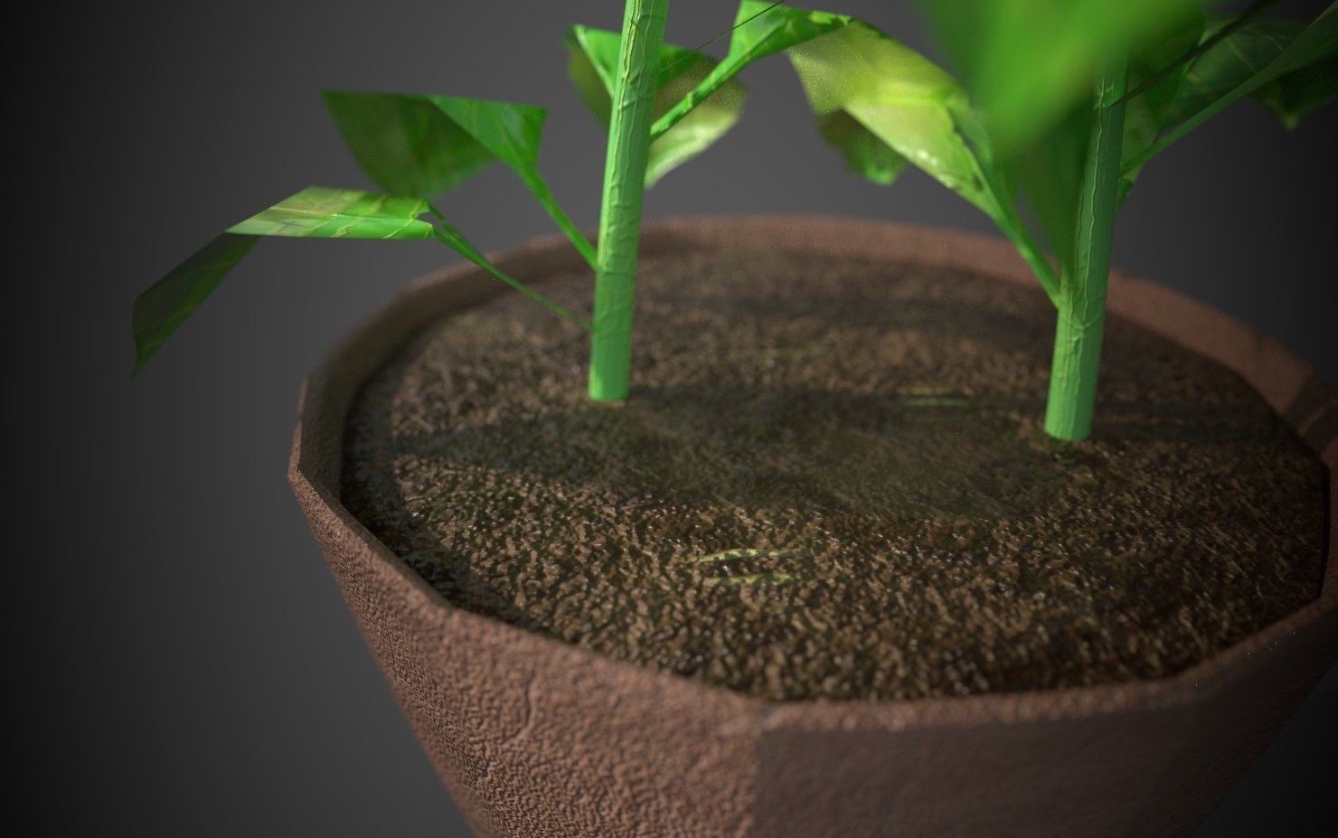Artificial indoor plant Low-poly 3D model_10