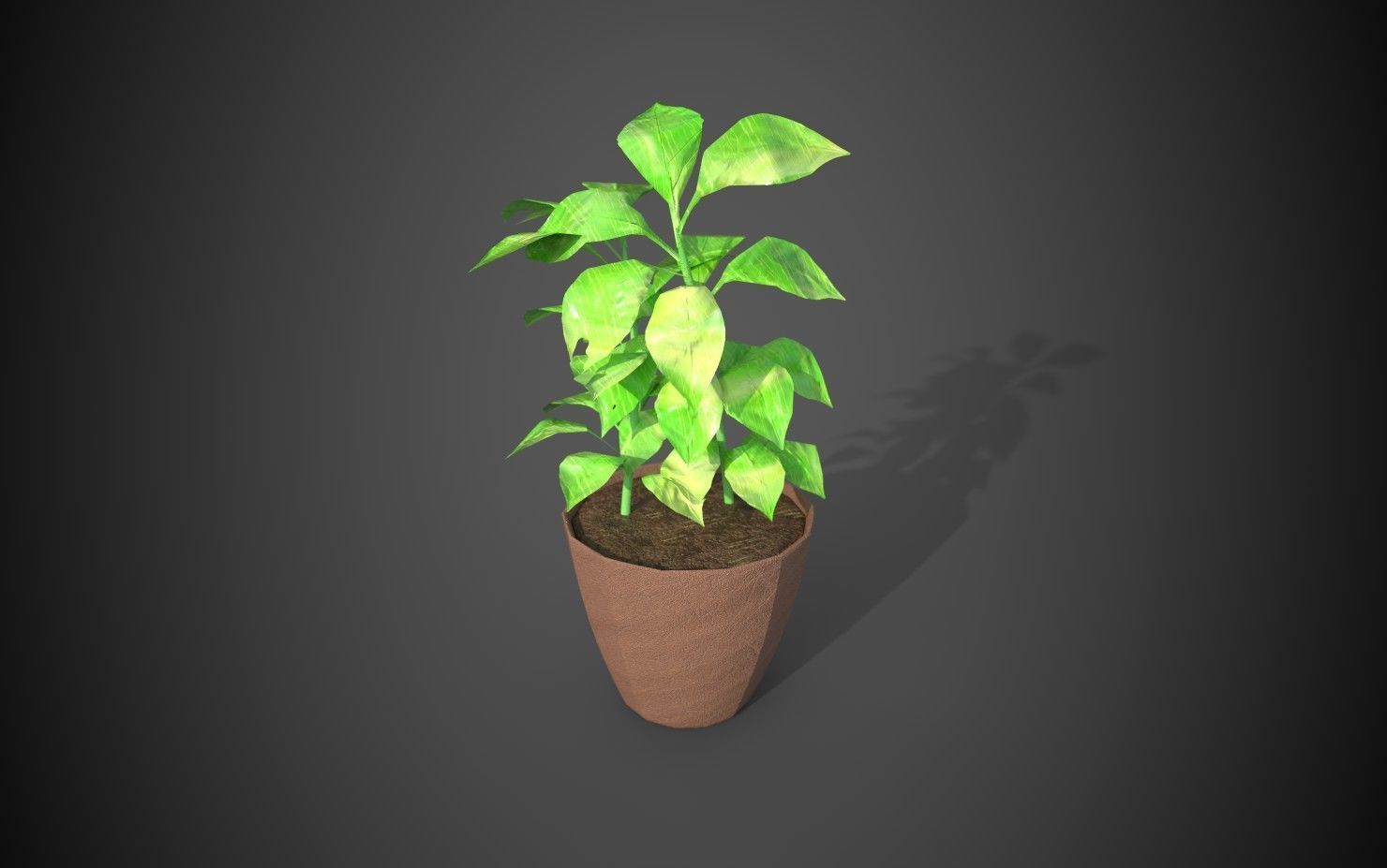 Artificial indoor plant Low-poly 3D model_14
