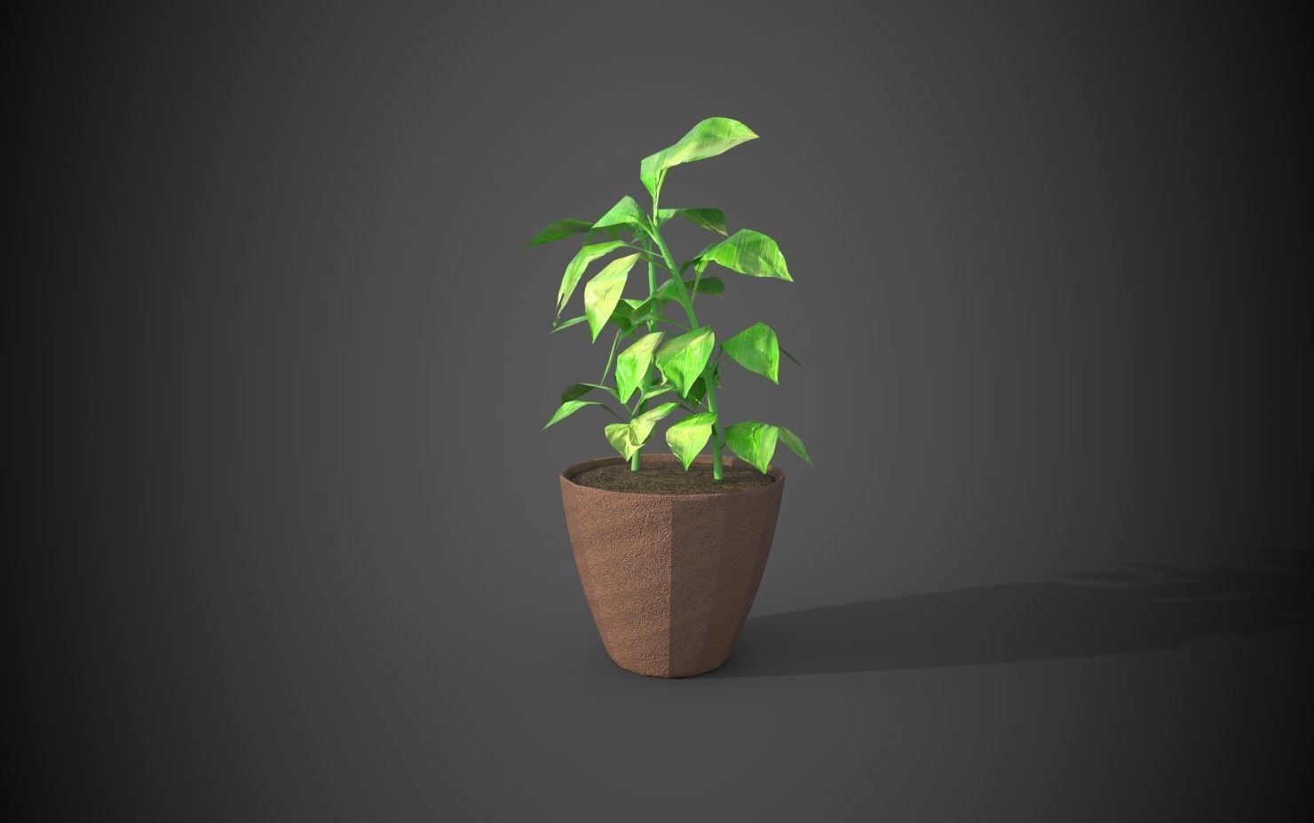 Artificial indoor plant Low-poly 3D model_15