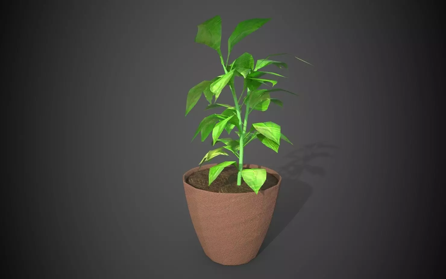 Artificial indoor plant Low-poly 3D model_0