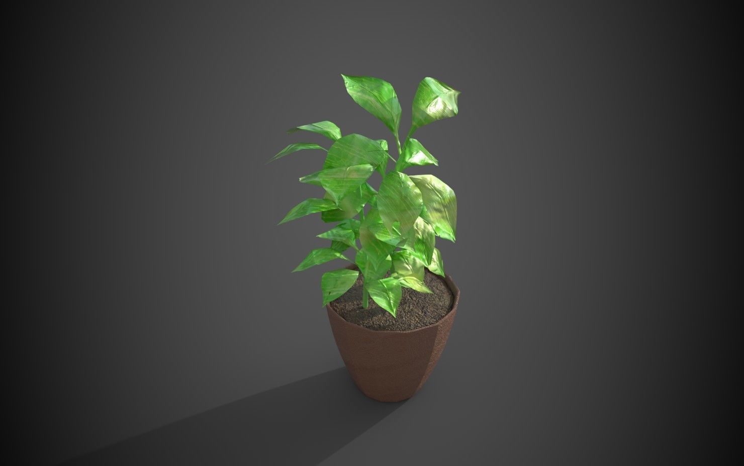 Artificial indoor plant Low-poly 3D model_16