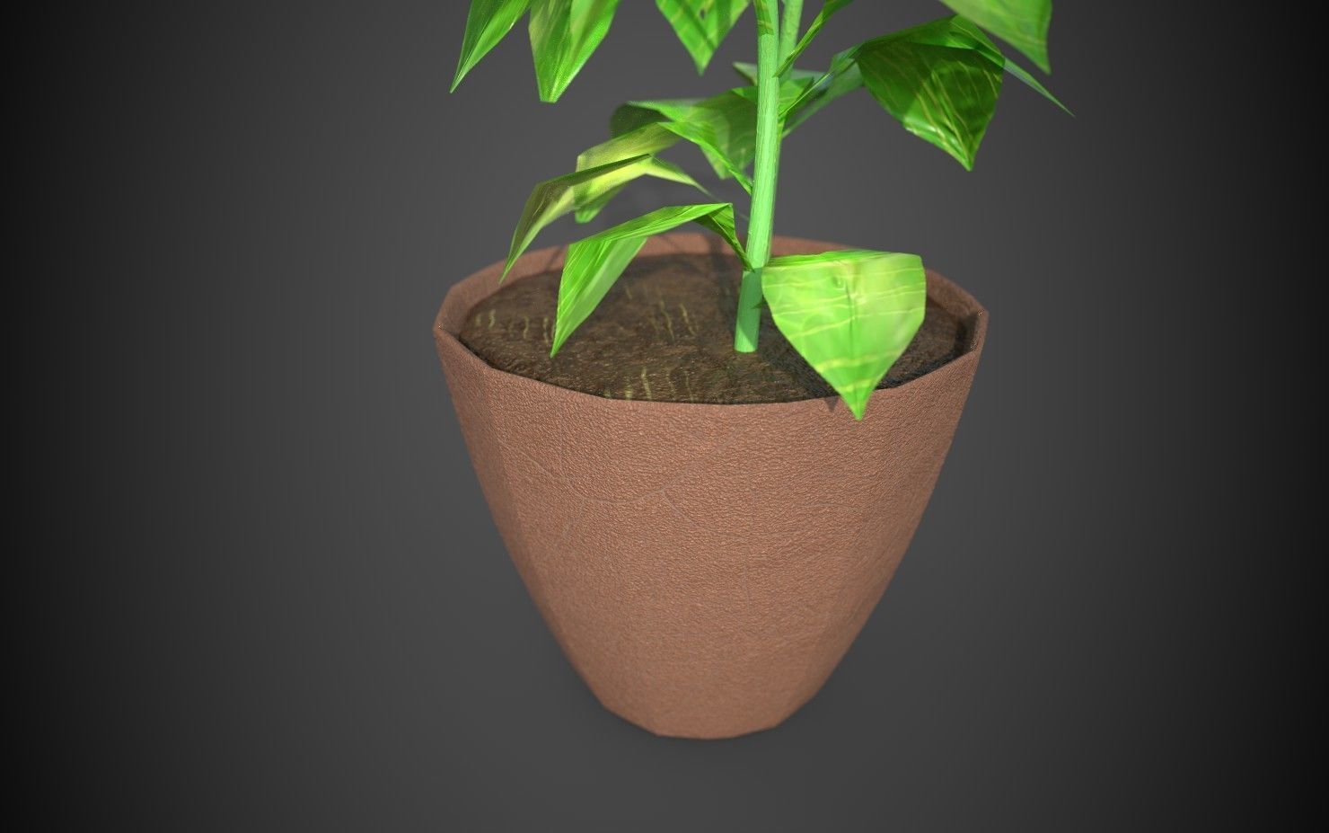 Artificial indoor plant Low-poly 3D model_6