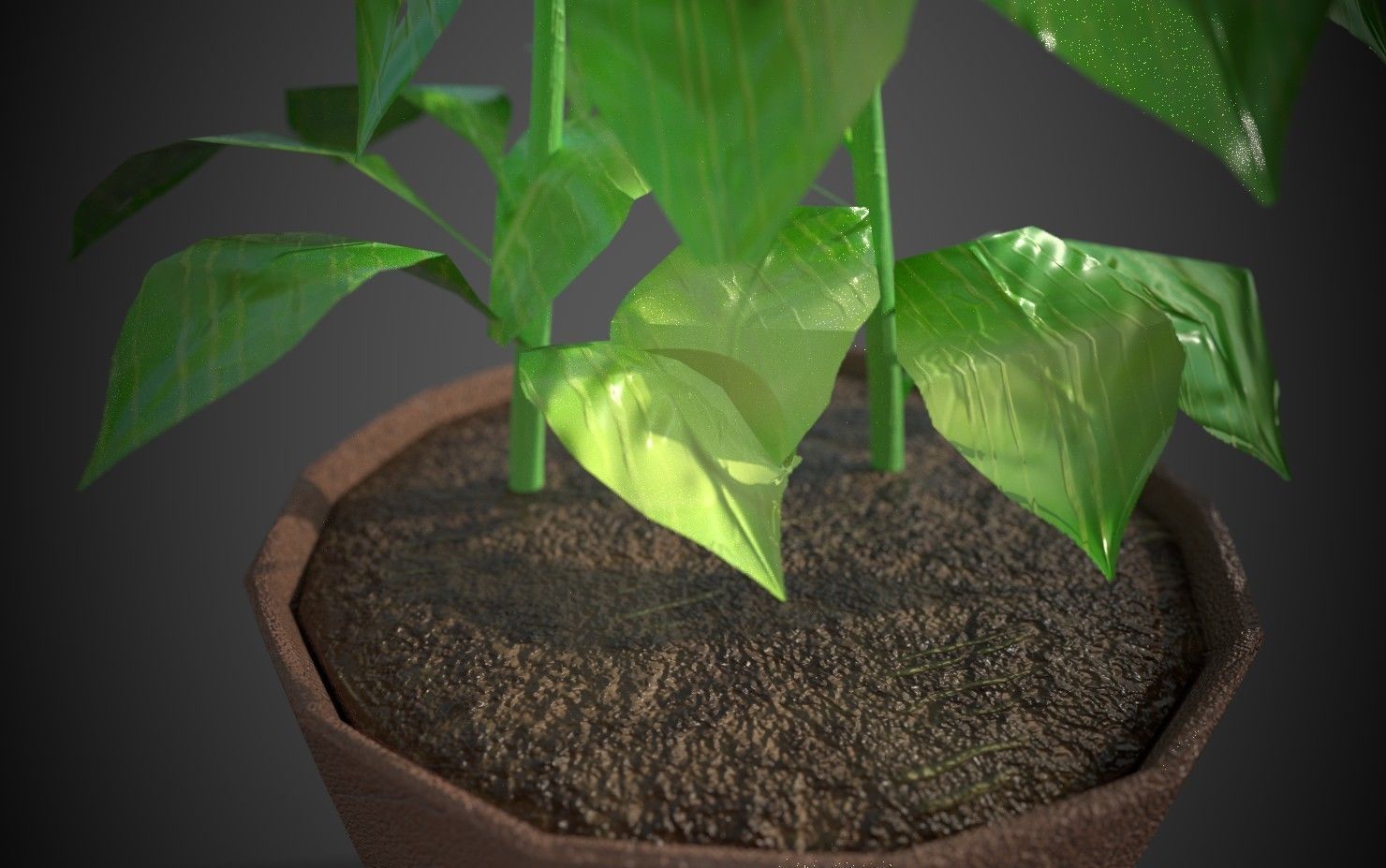 Artificial indoor plant Low-poly 3D model_1