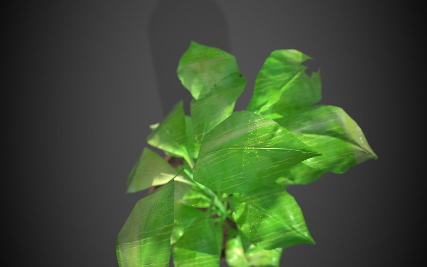 Artificial indoor plant Low-poly 3D model_2