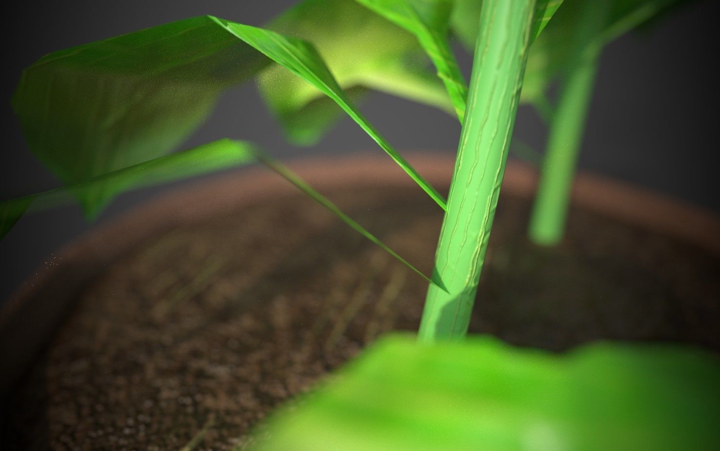 Artificial indoor plant Low-poly 3D model_3