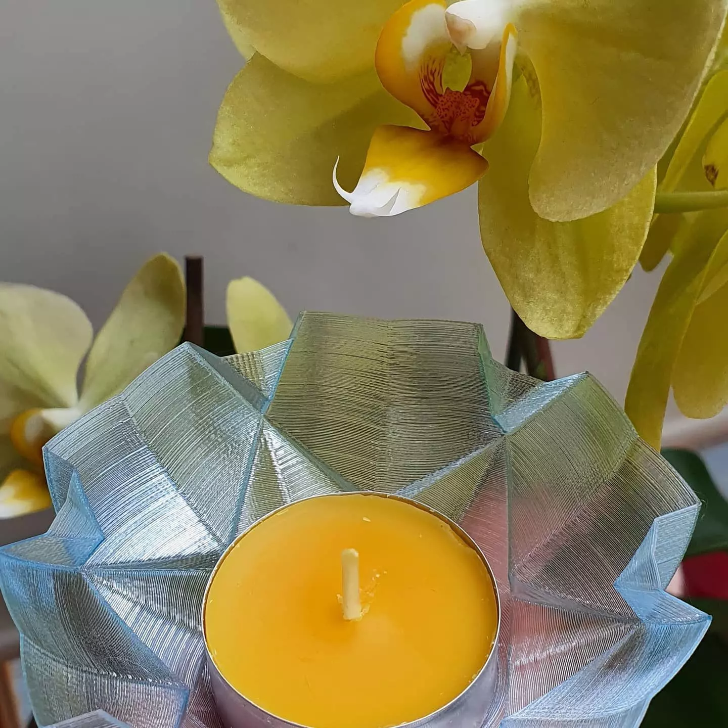 Candel Dilara - Bowl Multipurpose 3D print model