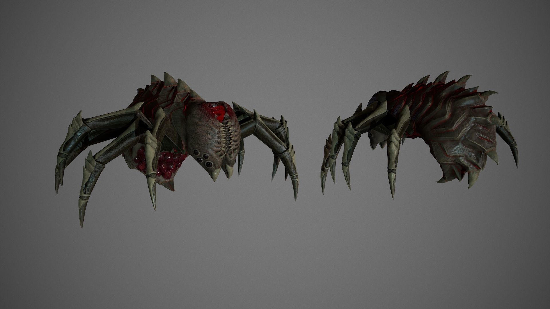 Spider Low-poly 3D model_4