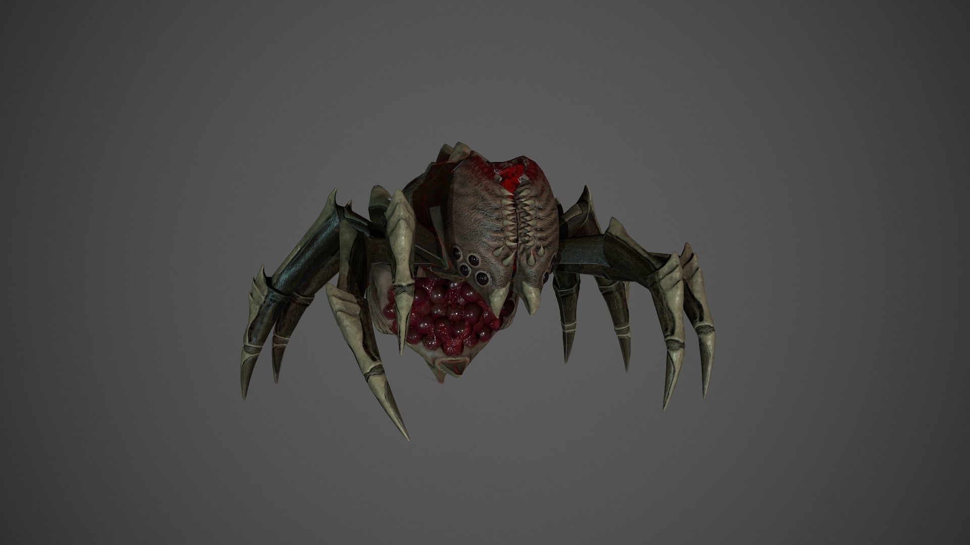 Spider Low-poly 3D model_7