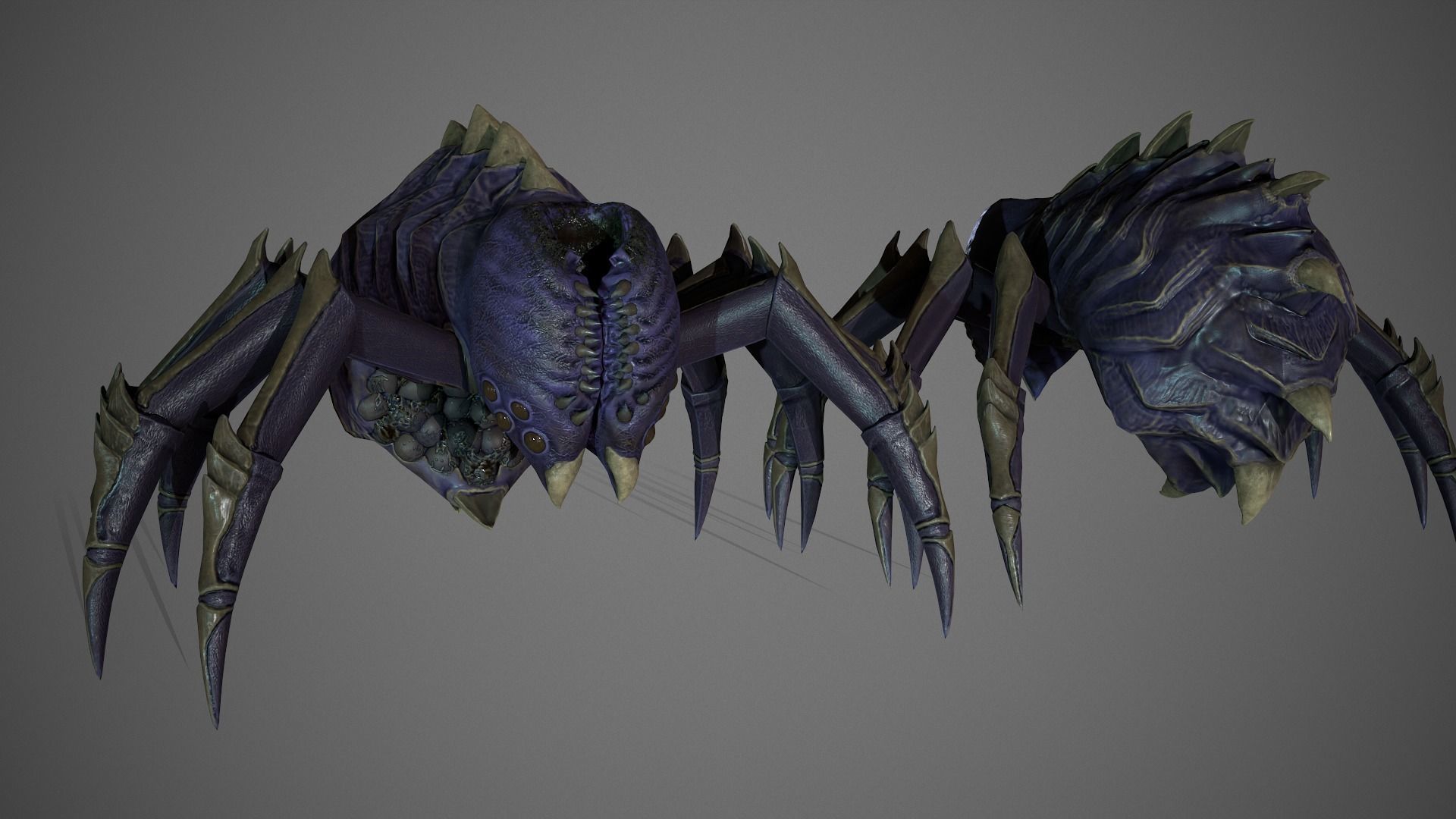 Spider Low-poly 3D model_5