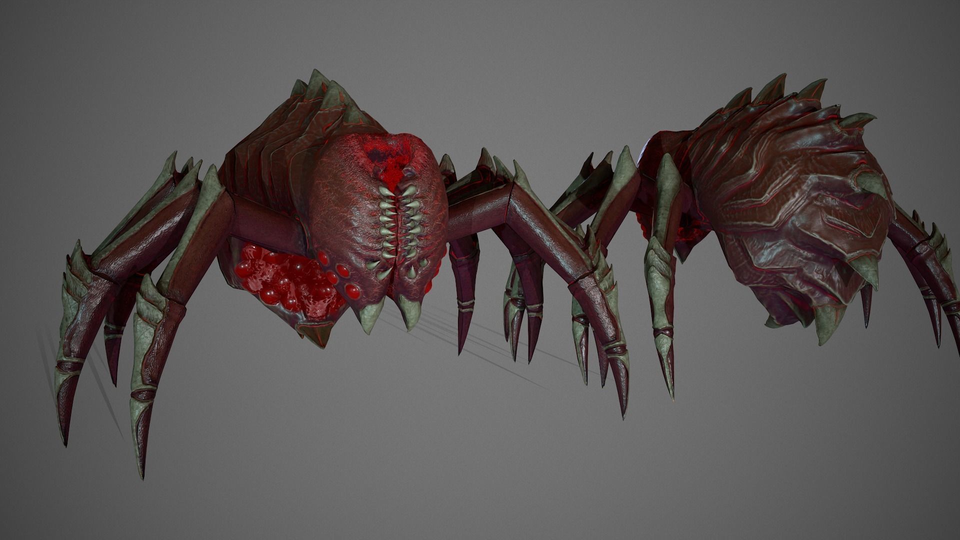 Spider Low-poly 3D model_6