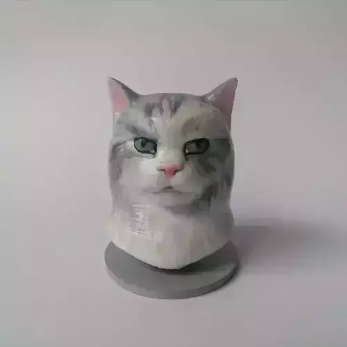 Cat Head