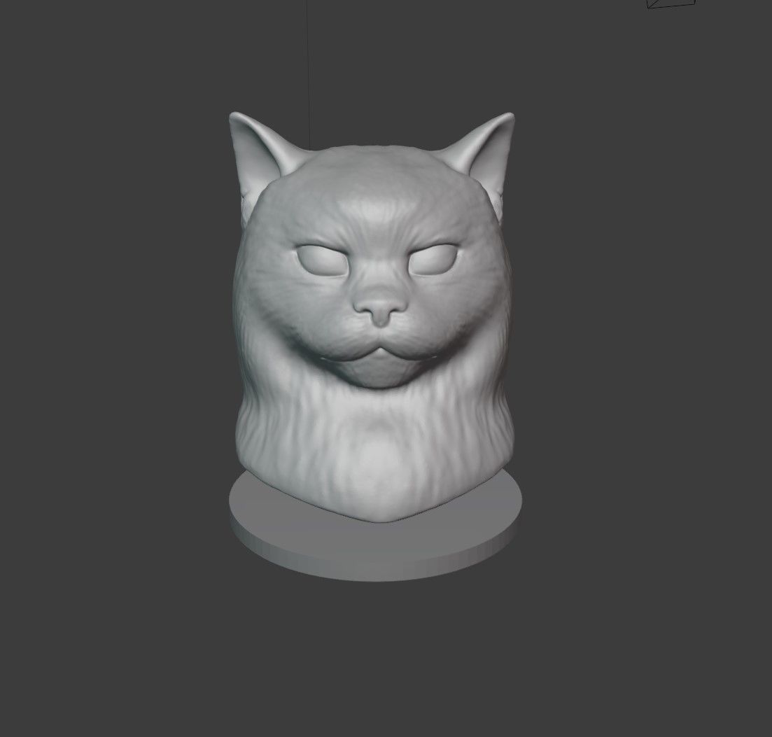Cat Head 3D print model_3