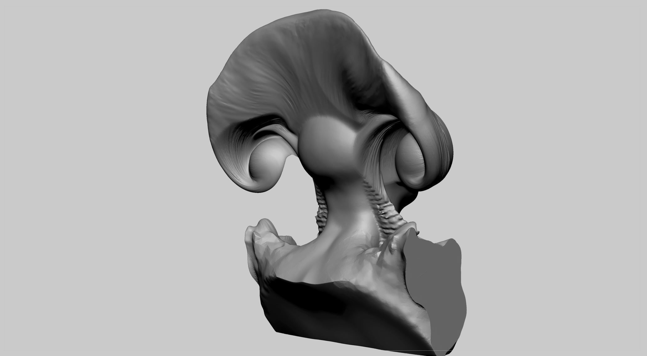 Fantasy Female Head v8 3D model_2