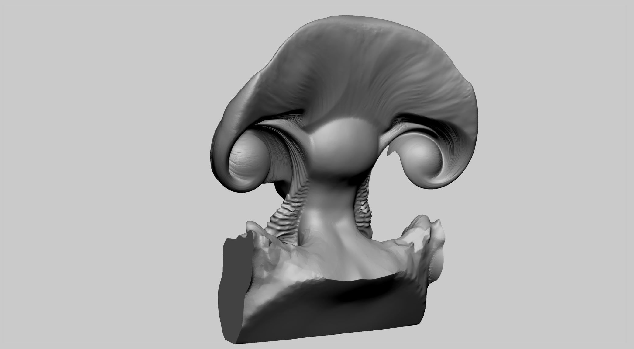 Fantasy Female Head v8 3D model_3