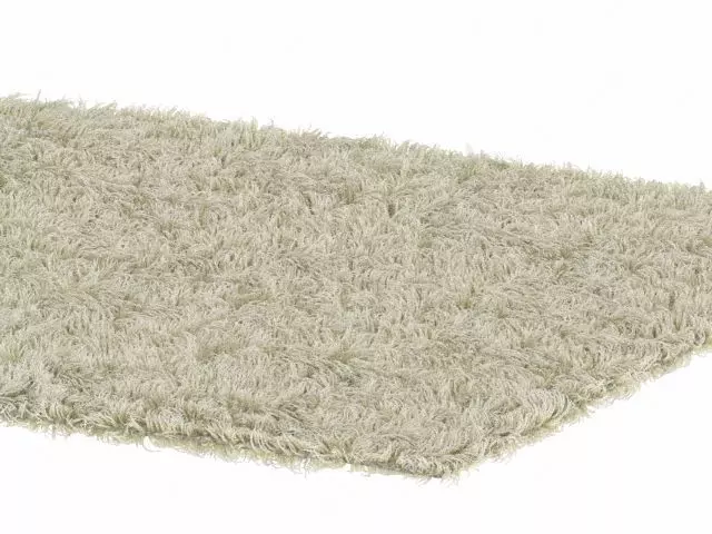 Fur Rug Low-poly 3D model_0