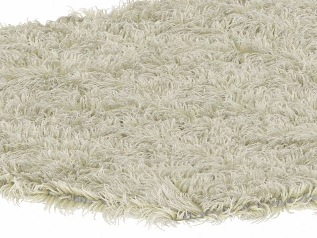 Fur Rug Low-poly 3D model_1