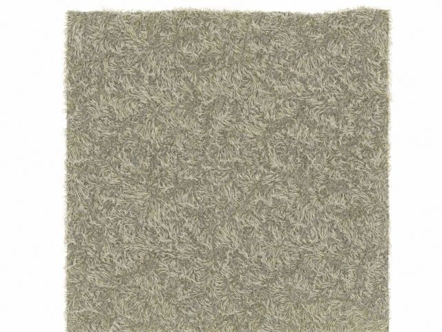 Fur Rug Low-poly 3D model_2