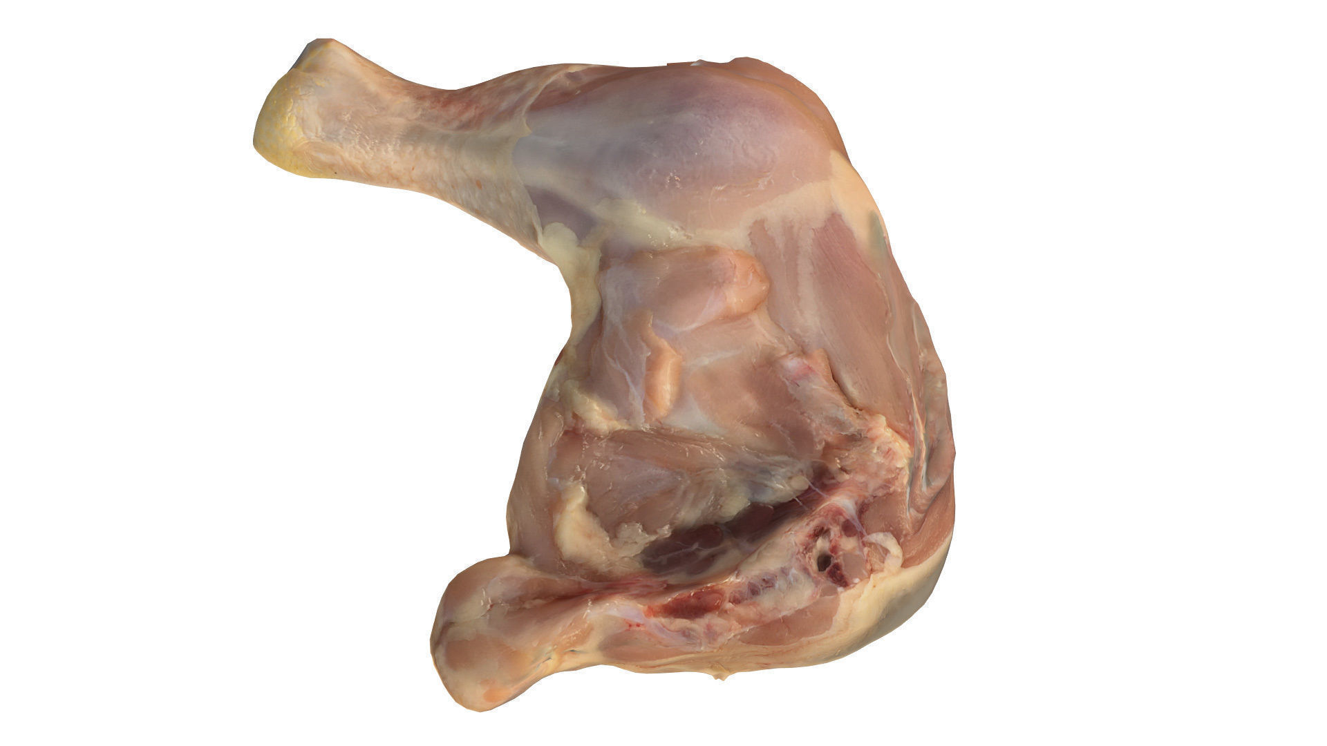 Chicken Leg 3D model_3