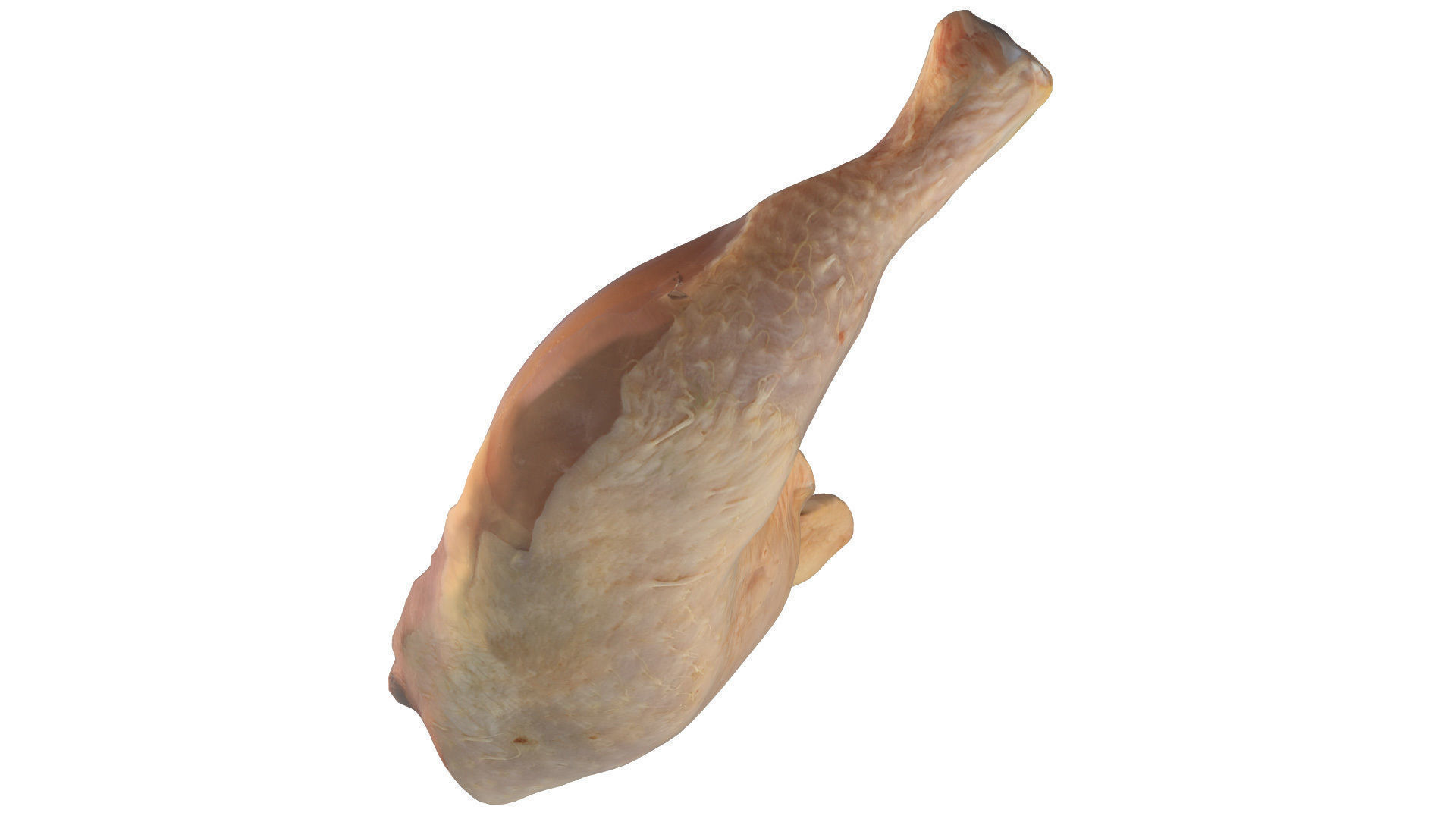 Chicken Leg 3D model_1