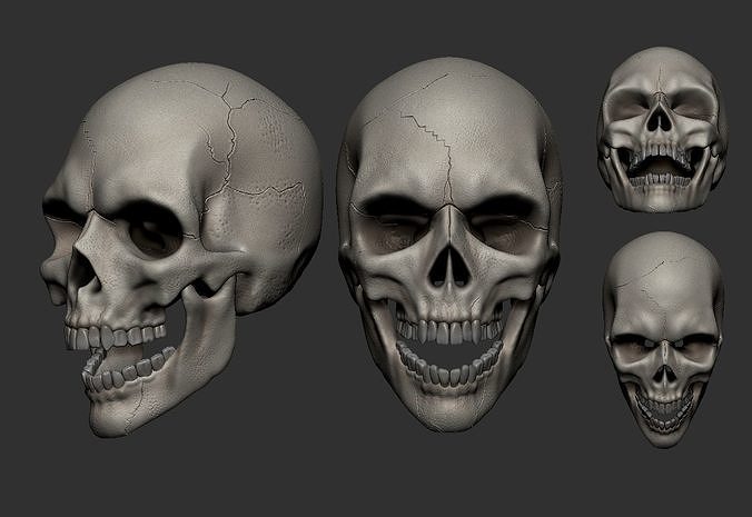 skull with different facial expressions 3D print model