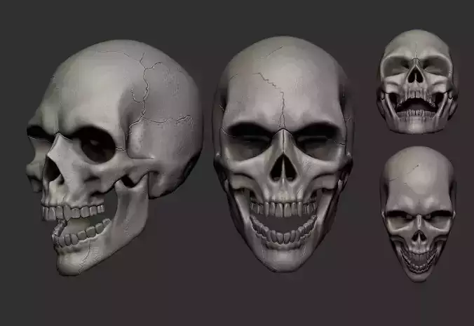 skull with different facial expressions