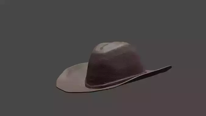 CowBoy Hat
