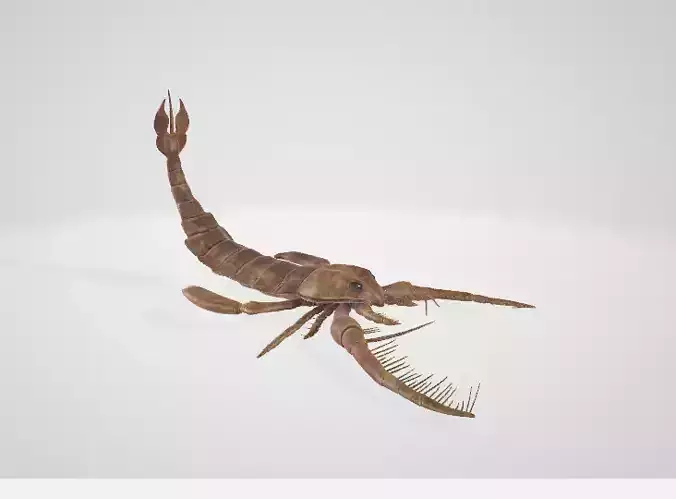 Crustacean scorpion