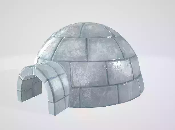 Igloo