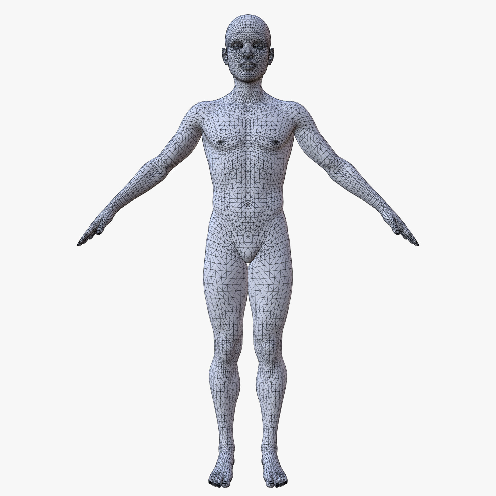 20 MALE BASE MESH  1-20 3D Model Collection_9