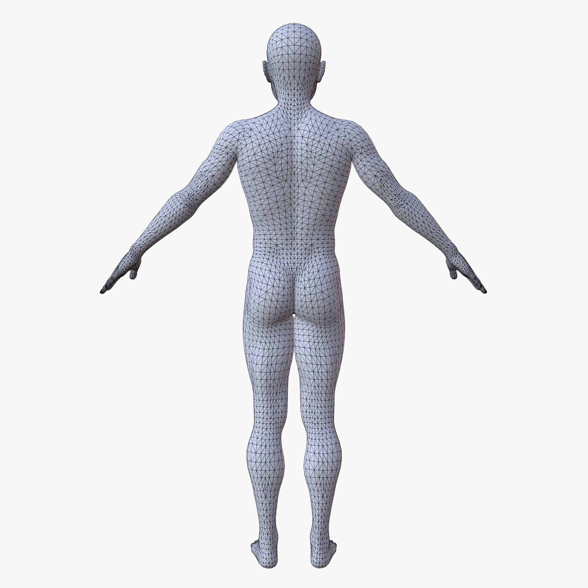20 MALE BASE MESH  1-20 3D Model Collection_10