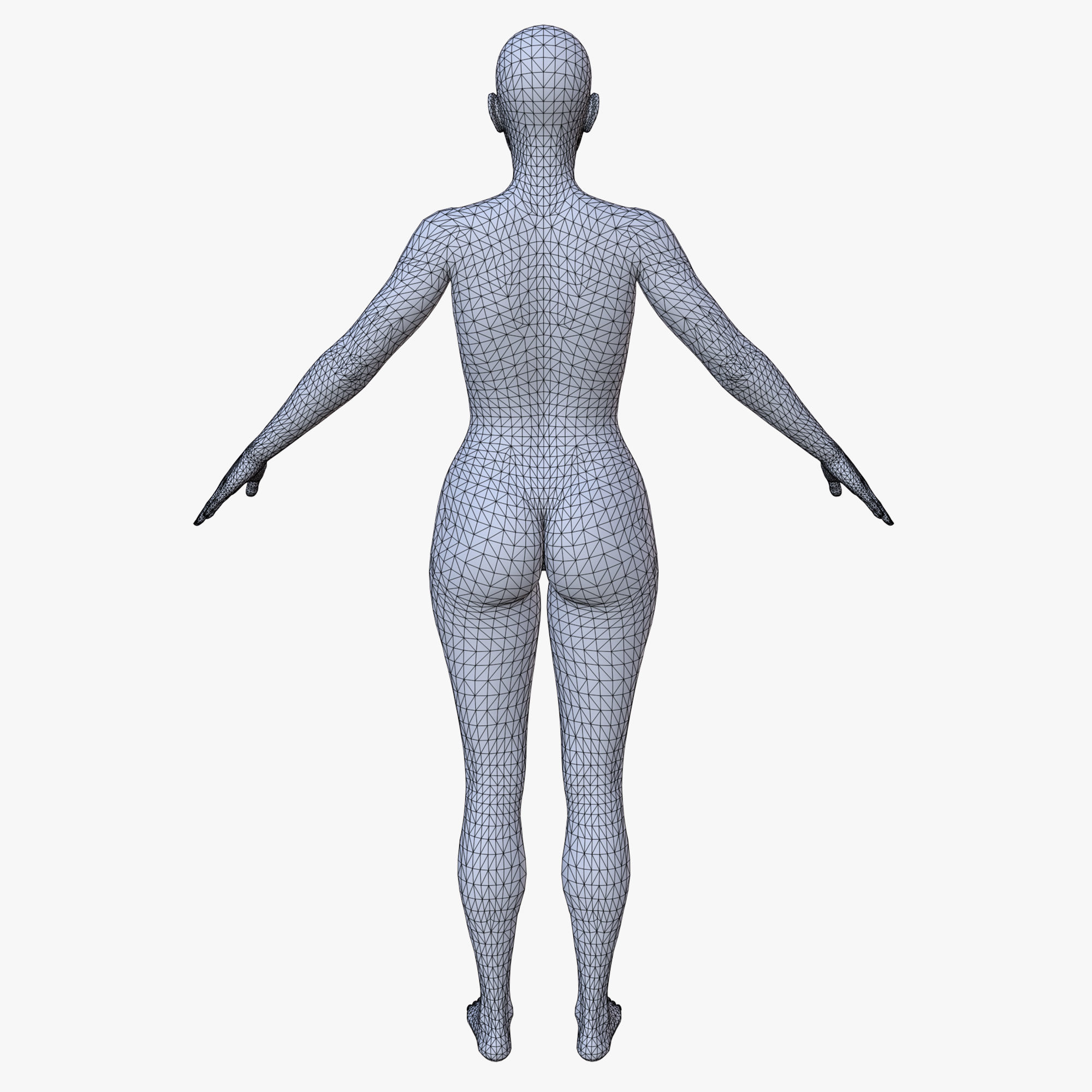 30 FEMALE BASE MESH  1-30 3D Model Collection_40