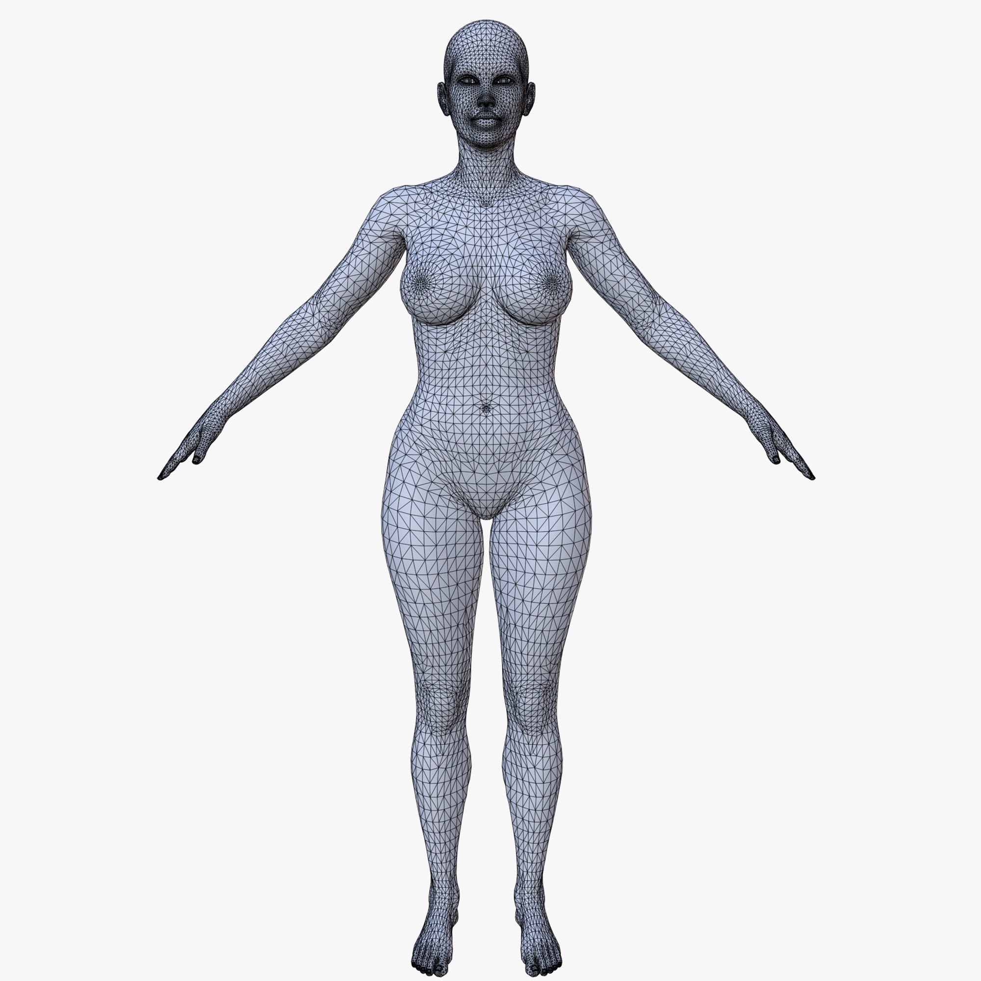 30 FEMALE BASE MESH  1-30 3D Model Collection_48