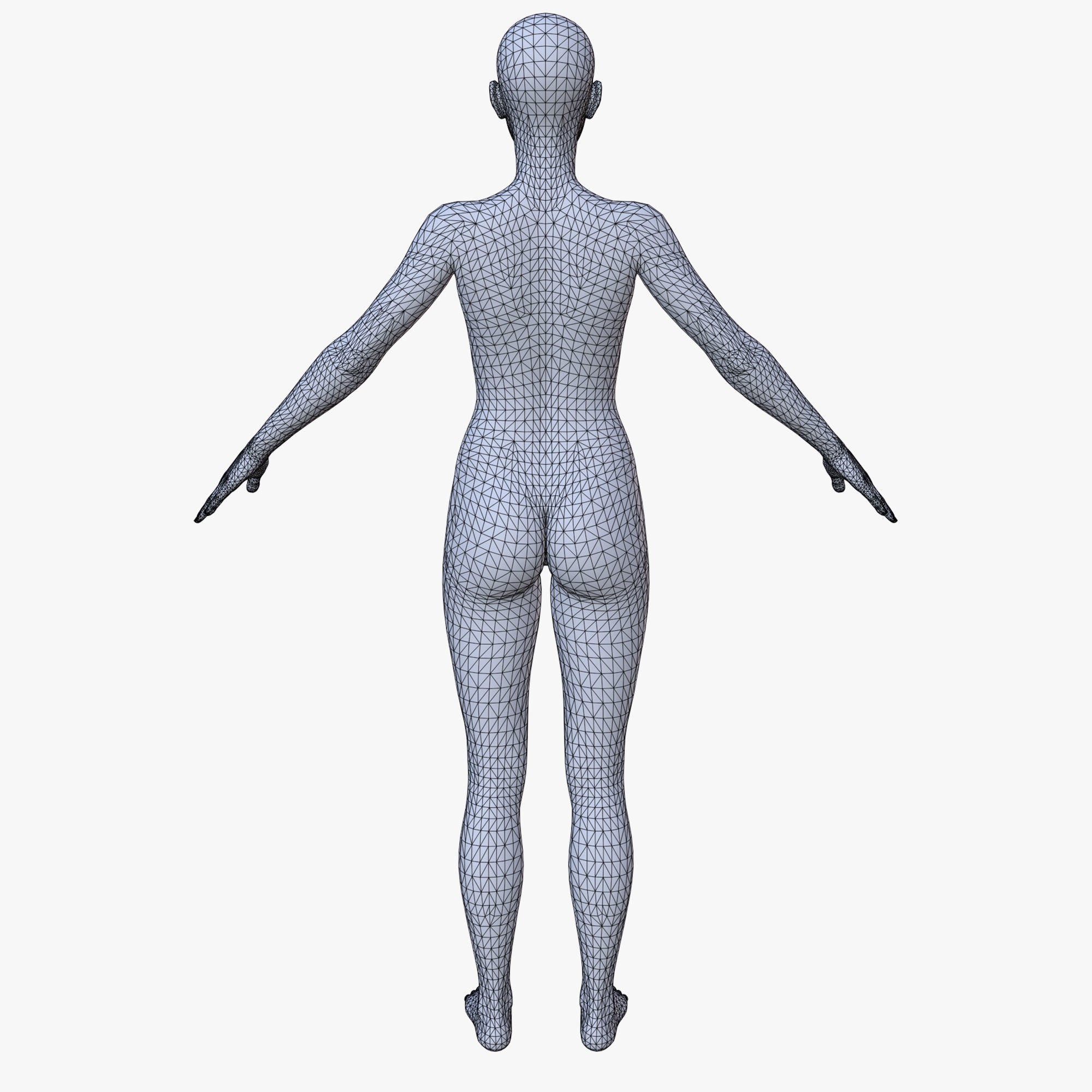 30 FEMALE BASE MESH  1-30 3D Model Collection_20