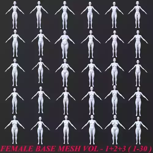 30 FEMALE BASE MESH  1-30 3D Model Collection