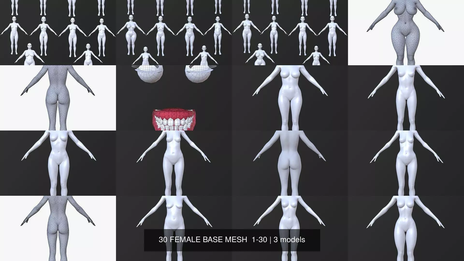 30 FEMALE BASE MESH  1-30 3D Model Collection_4