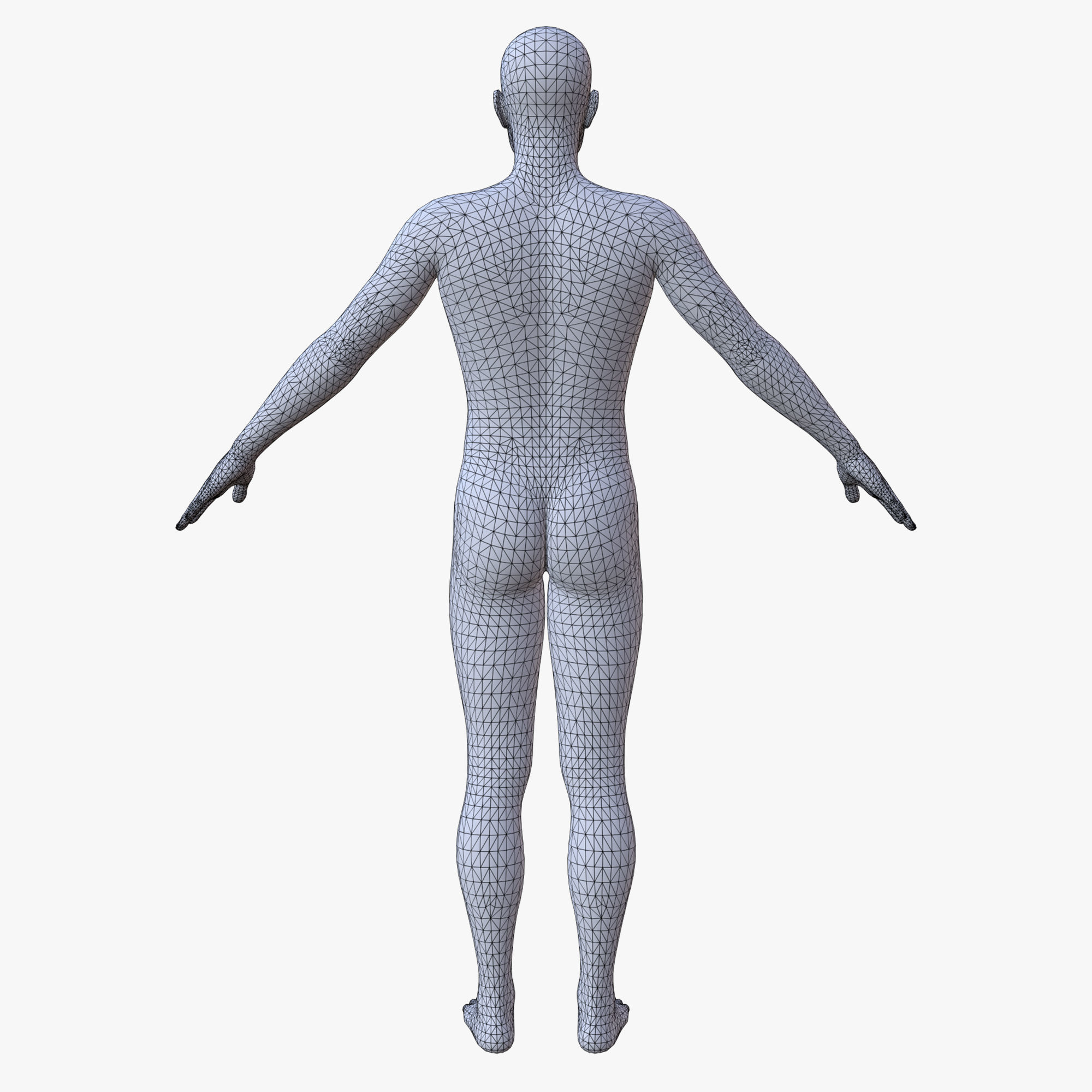 50 BASE MESH 3D Model Collection_35
