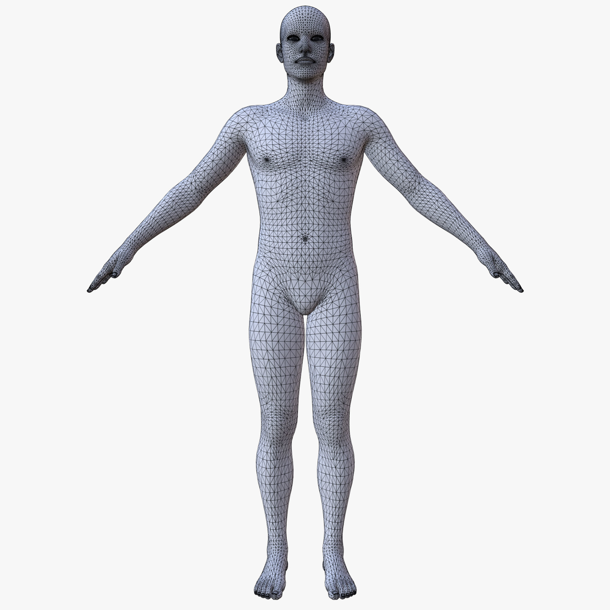 50 BASE MESH 3D Model Collection_41