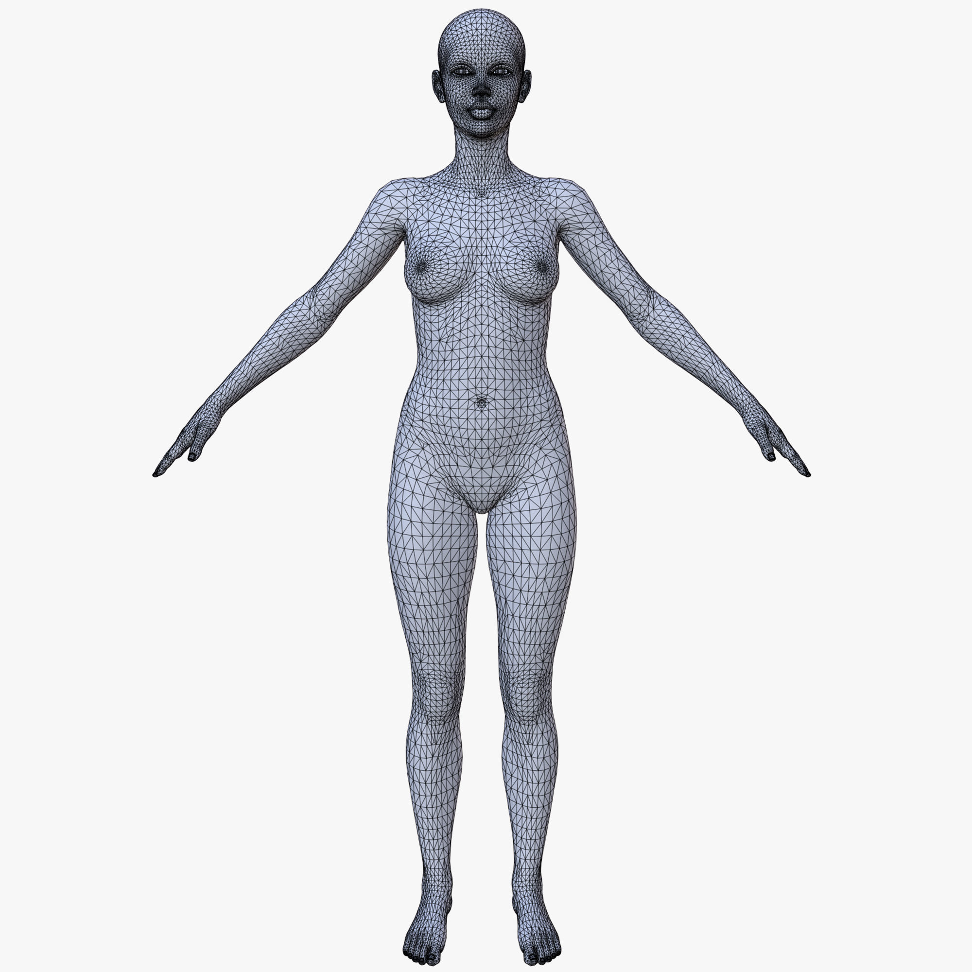 20 FEMALE BASE MESH  1-20 3D Model Collection_13