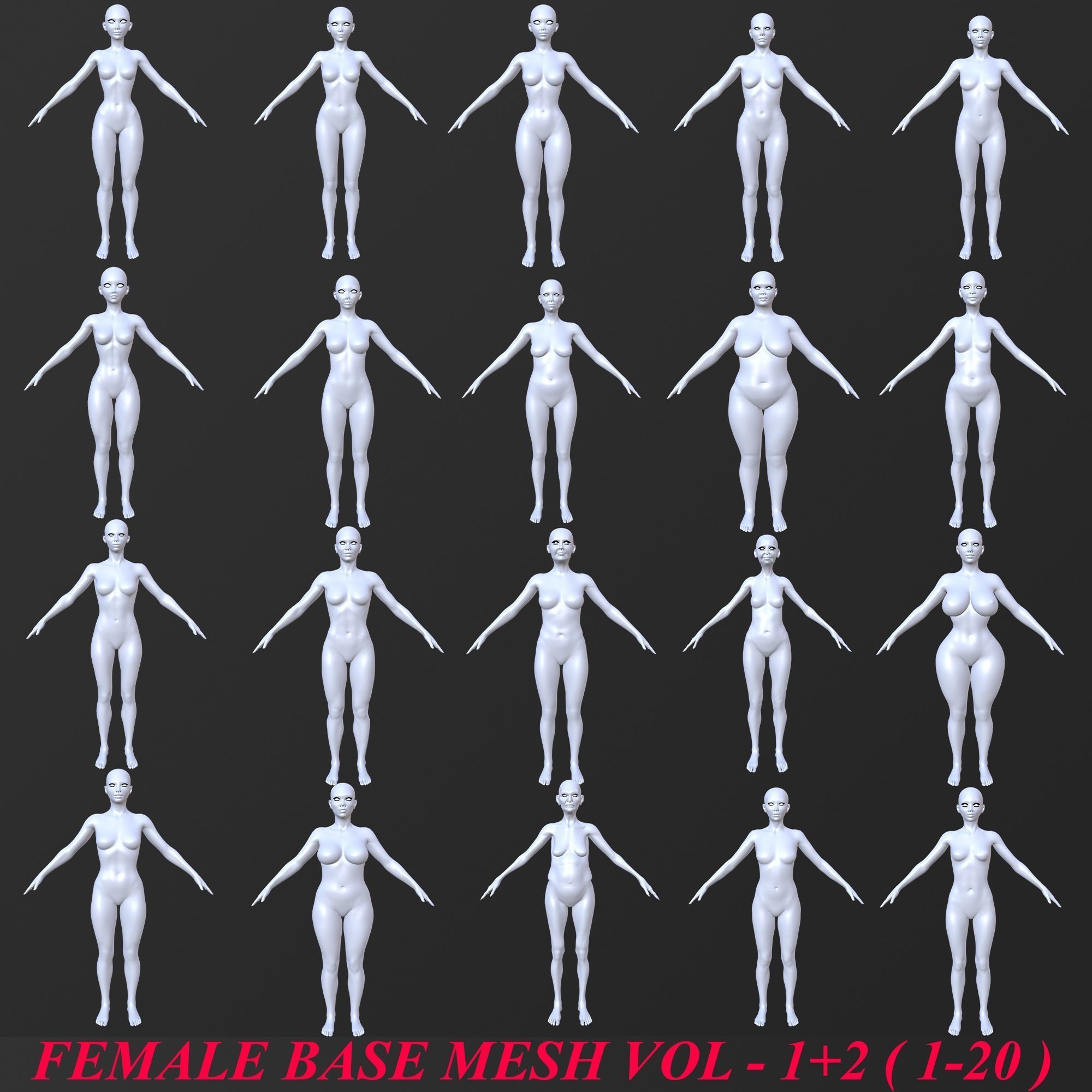 20 FEMALE BASE MESH  1-20 3D Model Collection_3
