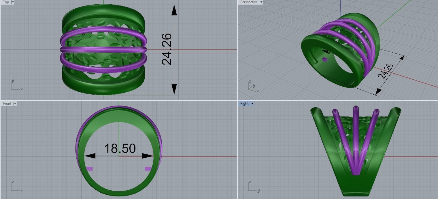 beautiful ring 3D print model_1