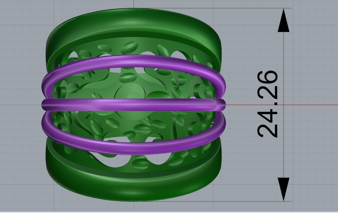 beautiful ring 3D print model_5