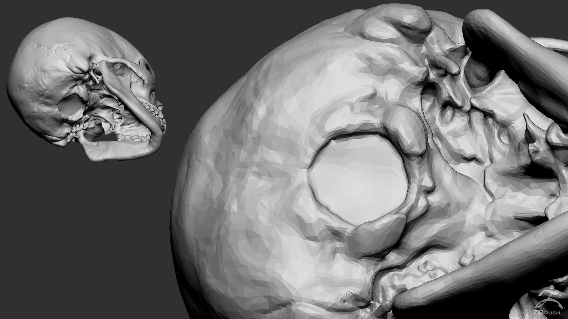 Human Skull 3D model_5