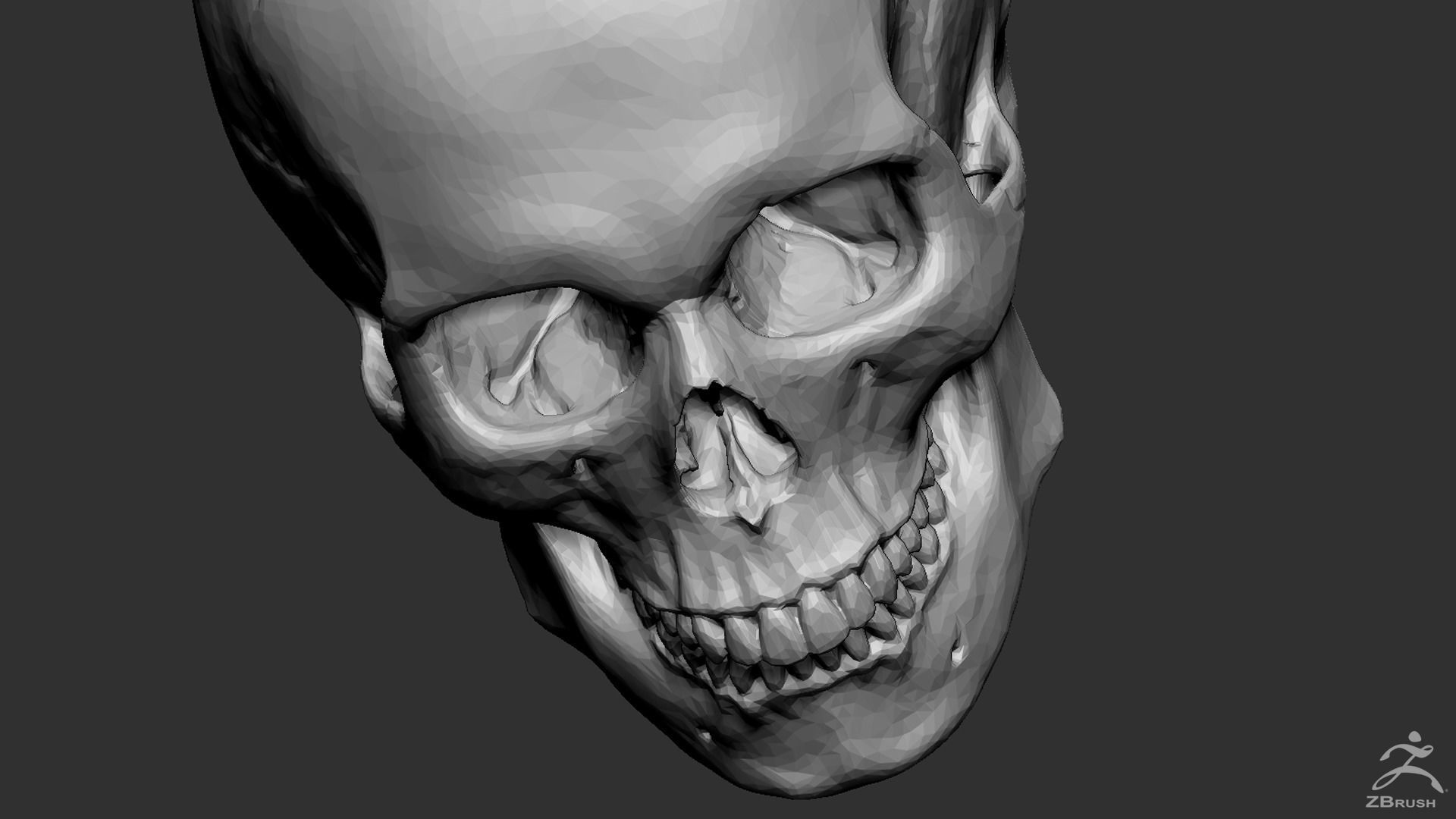 Human Skull 3D model_9