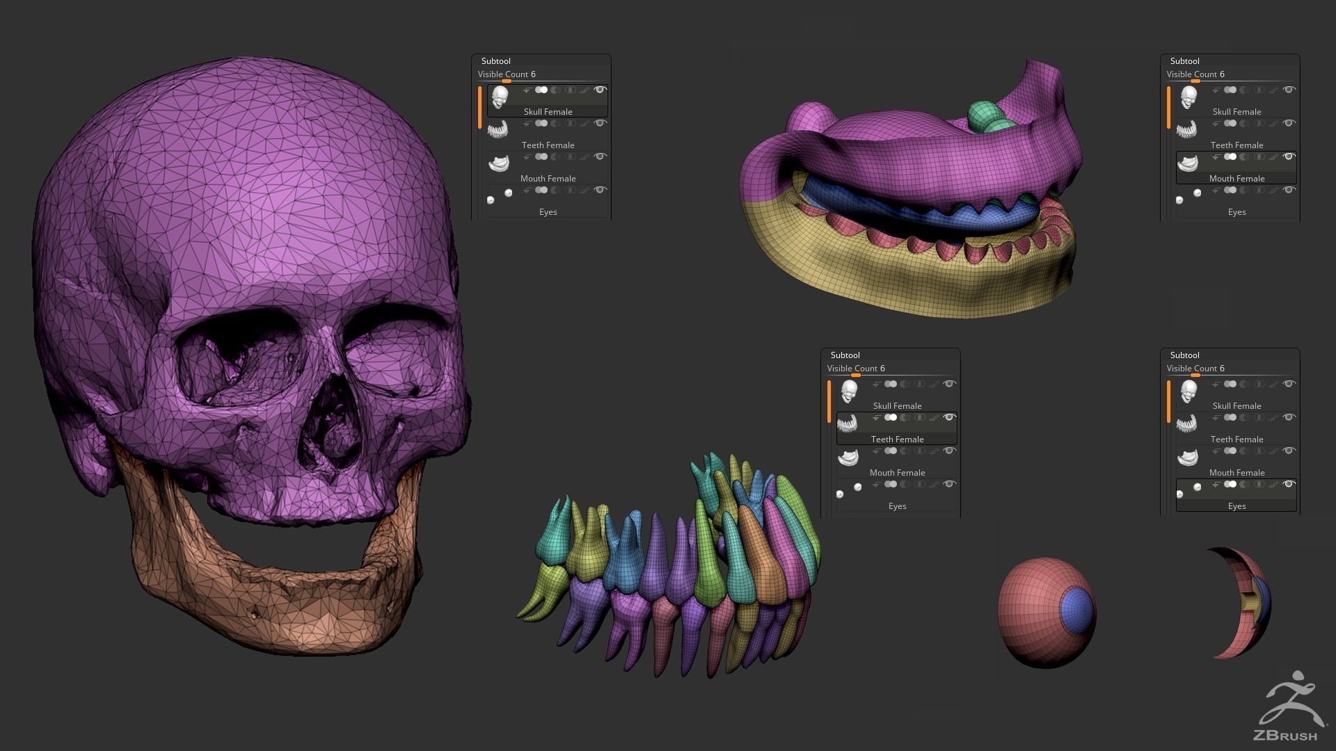 Human Skull 3D model_3