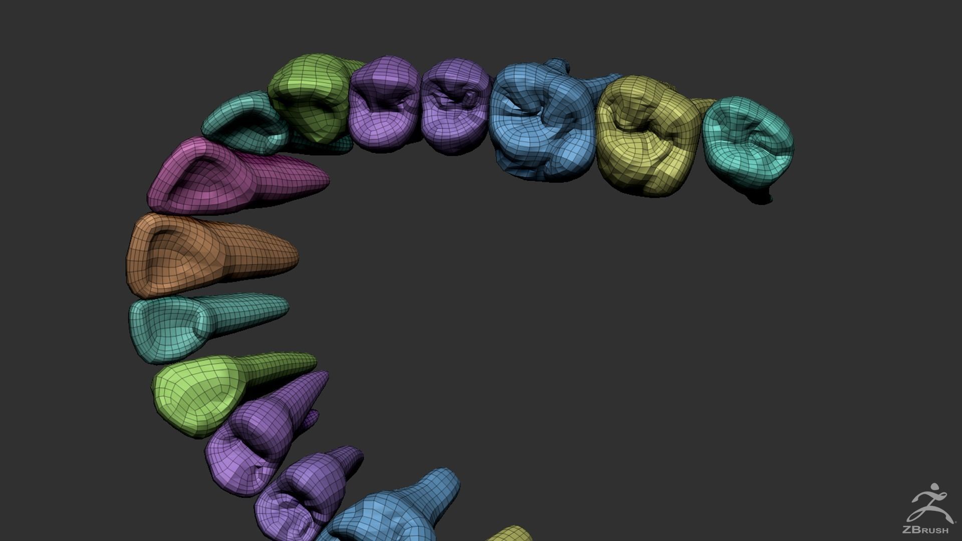 Human Skull 3D model_17